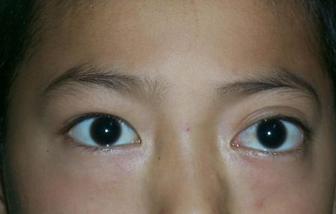 1.jpg (40133 字节)