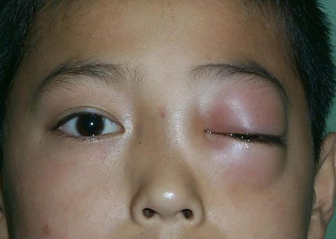 3.jpg (53102 字节)