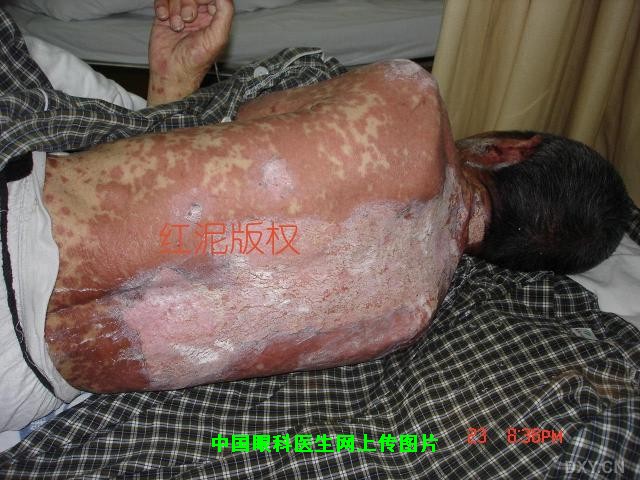 Click to view full DSC07205.JPG (1280 X 960)