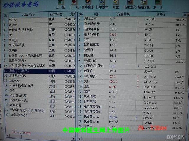 Click to view full DSC07211.JPG (1280 X 960)